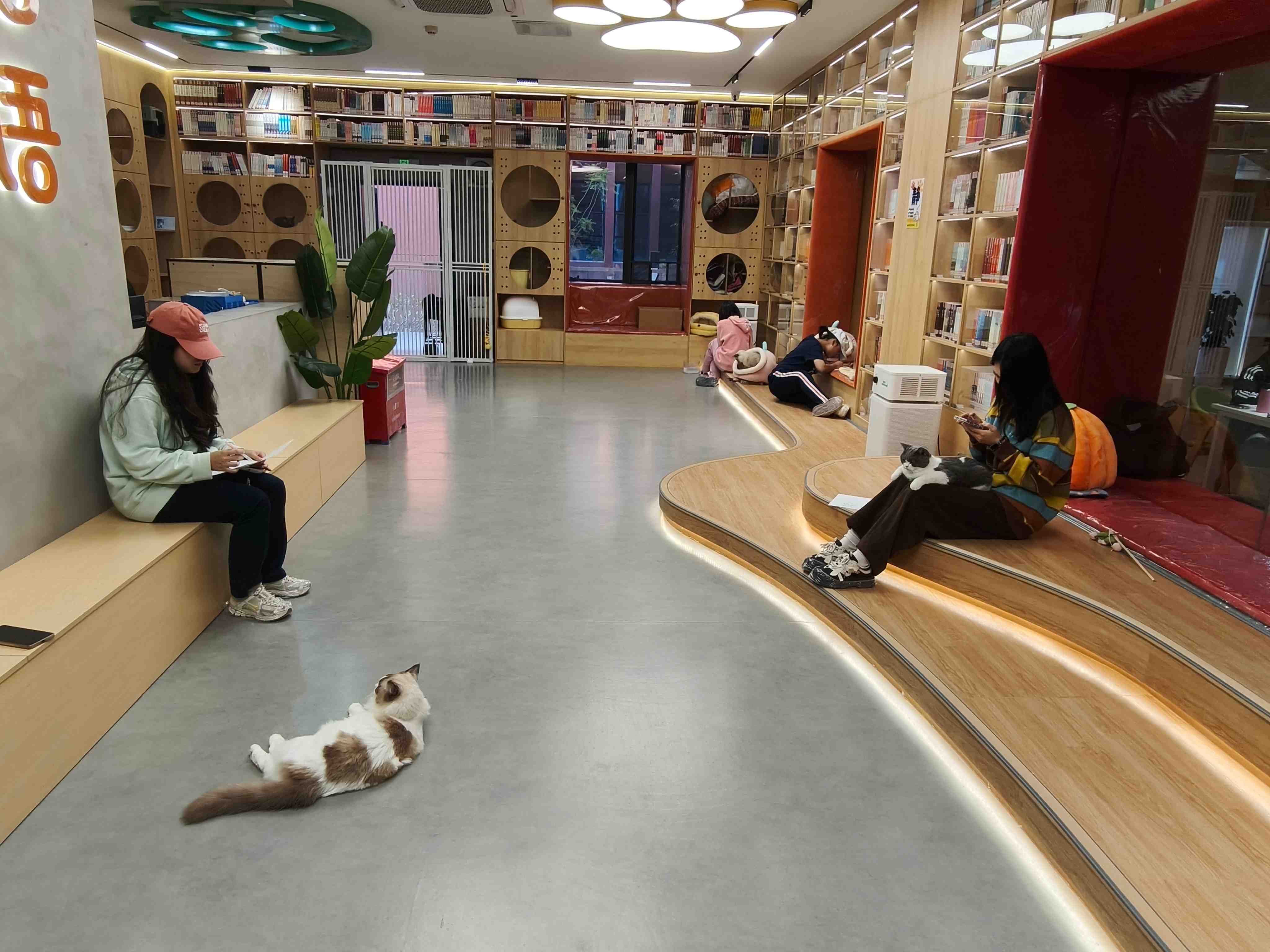 第十二期宠趣诗画-zyr摄 (1).jpg